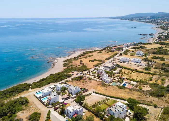 Memi Front * Κιοτάρι