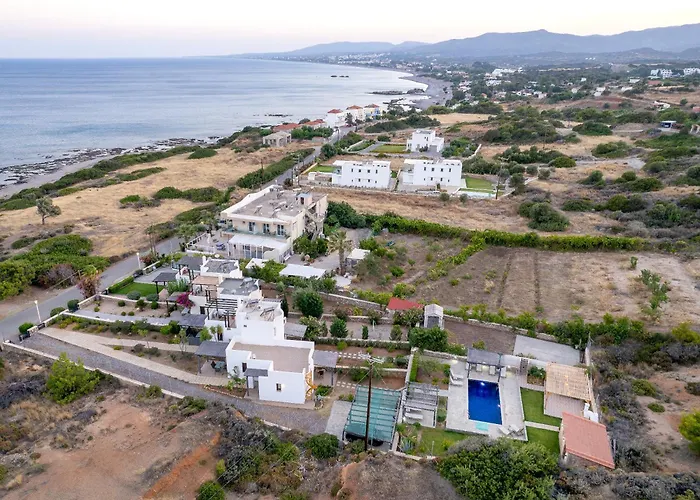 Memi Front * Κιοτάρι