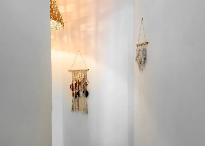 Memi Front * Κιοτάρι