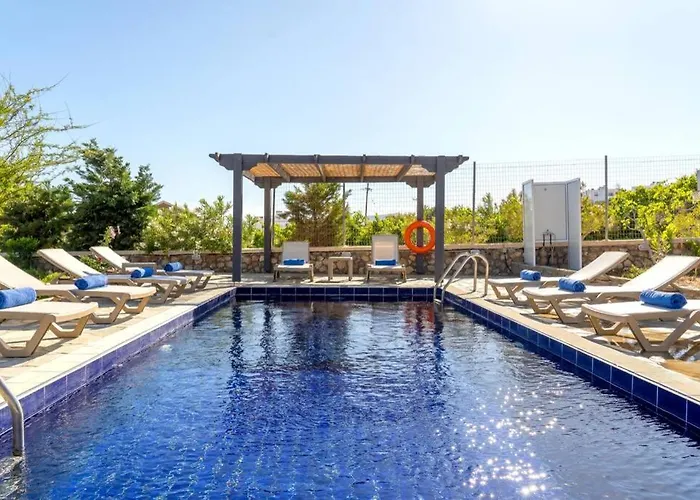 Memi Front * キオタリ