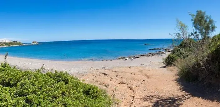 Memi Front キオタリ